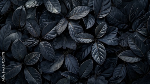 Black abstract leaf textures tropical leaves background. generative ai