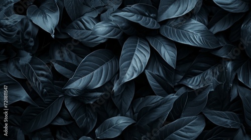 Black abstract leaf textures tropical leaves background. generative ai