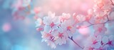Cherry Blossom Flowers Blooming in Blur: A Serene Nature Background with Cherry Blossom Flowers Blooming in Blur