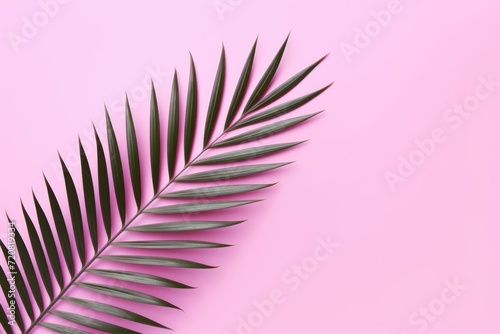 Tropical Palm Leaf on Pink Background - Flat Lay Top View AI Generated