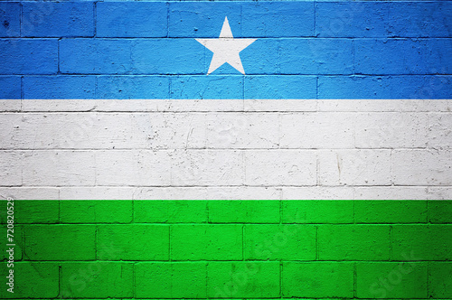 Flag of Puntland painted on a wall photo
