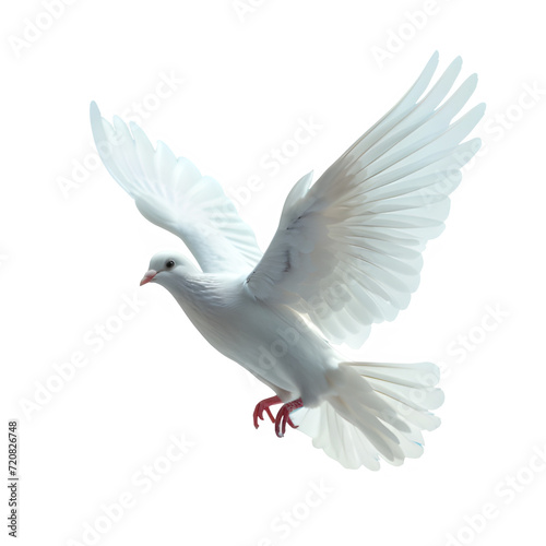 white dove flying isolated on transparent background ,flying pigeon png ,generative ai © Leo