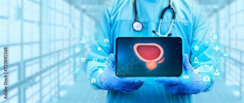 The doctor teaches about the bladder and prostate. Prostate cancer, bladder cancer, men's healthcare. Modern digital medicine in urology. digital technology concept photo
