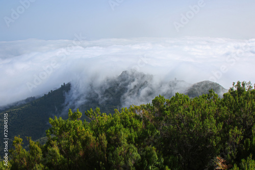 View over the clouds from the Pico Ruivo  the highest mountain peak on Madeira island  Portugal - Heathland on dry slopes in the Atlantic Ocean