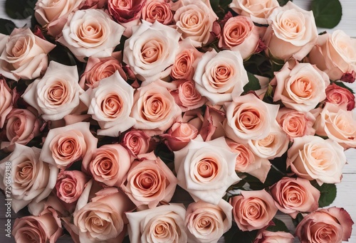  wooden white background roses © akkash jpg