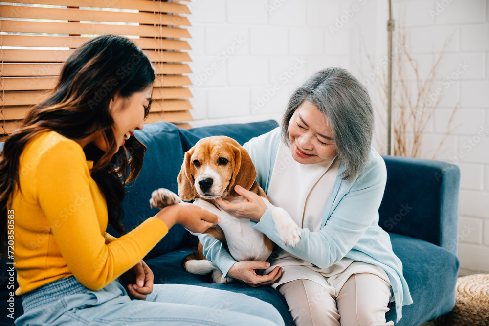 A joyful young woman, along with her mother, shares an affectionate moment of bonding with their Beagle dog on the sofa at home. Their family portrait exudes happiness and loyalty. Pet love A joyful young woman, along with her mother, shares an affectionate moment of bonding with their Beagle dog on the sofa at home. Their family portrait exudes happiness and loyalty. Pet love