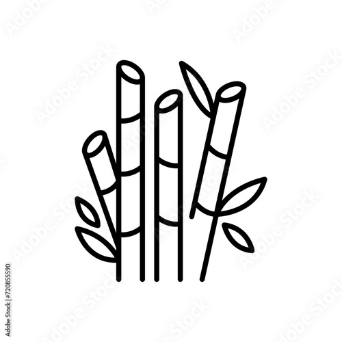 Bamboo outline icons, minimalist vector illustration ,simple transparent graphic element .Isolated on white background