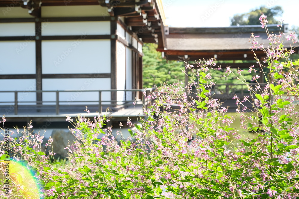 Fototapeta premium Wild flowers in front of traditional Japanese building