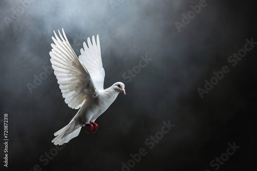 Fliegende Taube im Licht, Zeichen für Frieden, Religion, Christentum, Ostern, Freiheit, Hochzeit, Liebe photo