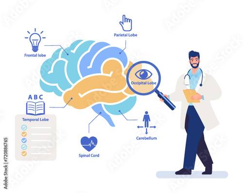 Human brain study flat vector illustration. Examination of brain functions by neurologist with magnifying glass.