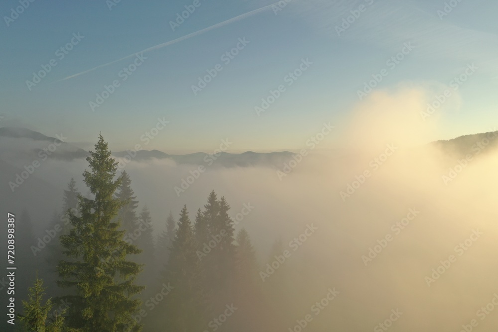 Aerial view of beautiful mountains and conifer trees on foggy morning Aerial view of beautiful mountains and conifer trees on foggy morning