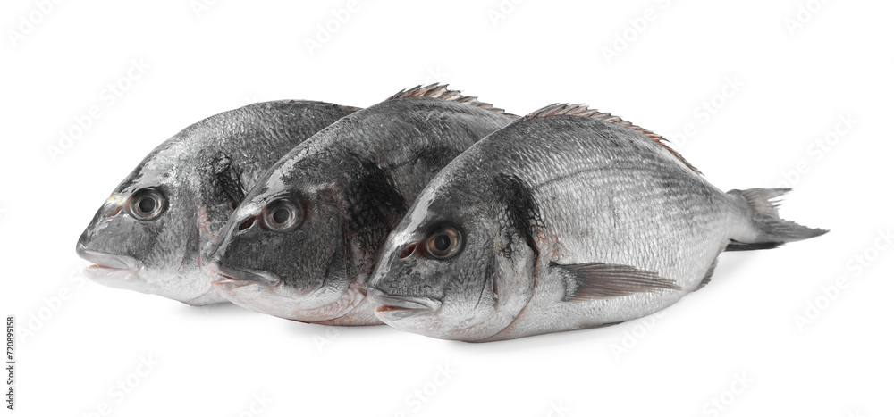 Fototapeta premium Fresh raw dorado fish isolated on white