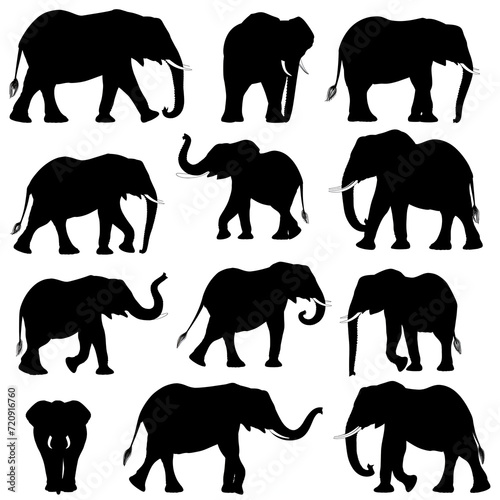 set of African elephants silhouettes on white background
