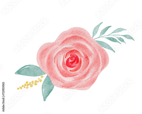 Fototapeta Naklejka Na Ścianę i Meble -  Watercolor Rose Flower 
