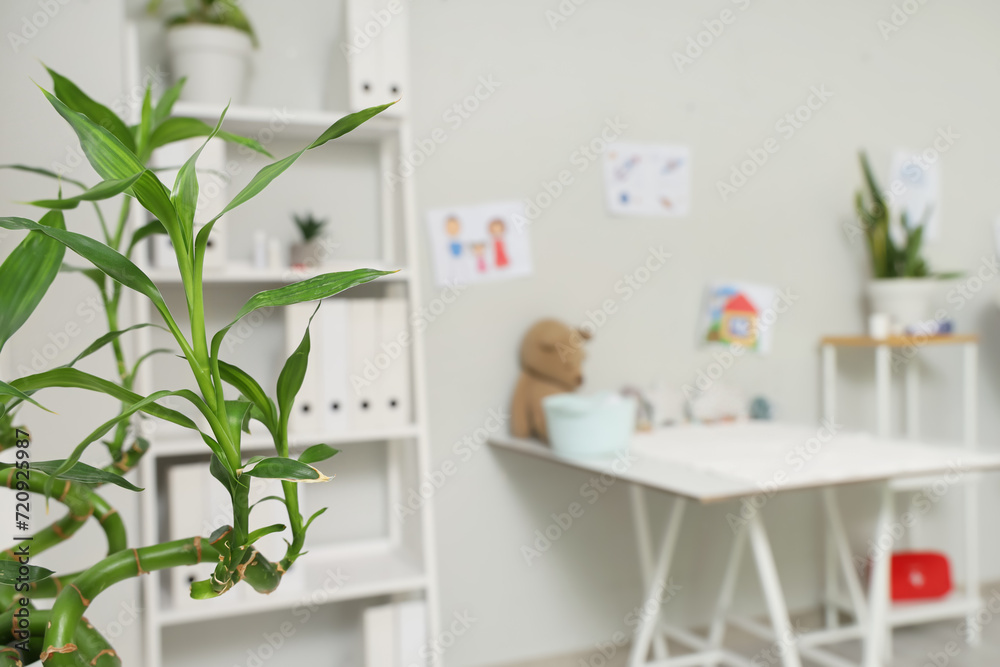 Bamboo stems in pediatrician's office, closeup