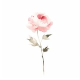A watercolor painting depicting a pink flower on a white background.