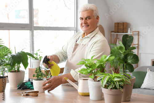 Mature gardener watering pl...