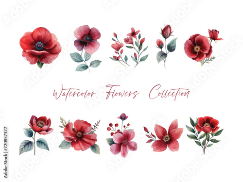 water color flower set, ultra HD red color is very detailed, which is suitable for wedding templates or other decoration purposes