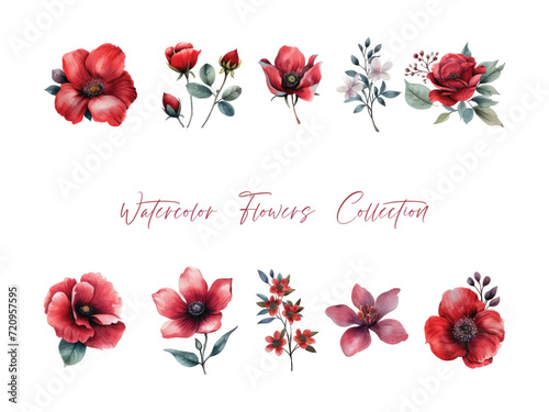 water color flower set, ultra HD red color is very detailed, which is suitable for wedding templates or other decoration purposes