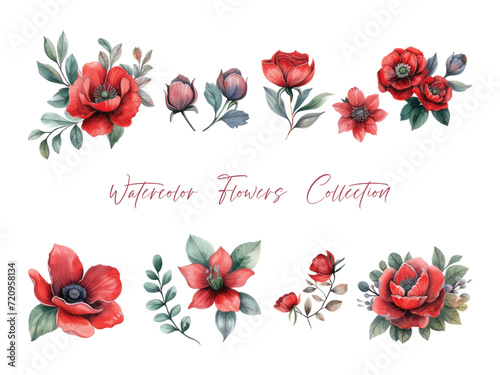 water color flower set, ultra HD red color is very detailed, which is suitable for wedding templates or other decoration purposes