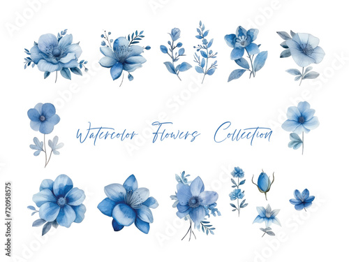 water color flower set, ultra HD blue color is very detailed, which is suitable for wedding templates or other decoration purposes