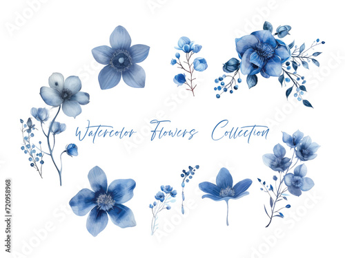 water color flower set, ultra HD blue color is very detailed, which is suitable for wedding templates or other decoration purposes