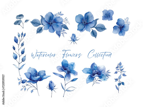 water color flower set, ultra HD blue color is very detailed, which is suitable for wedding templates or other decoration purposes
