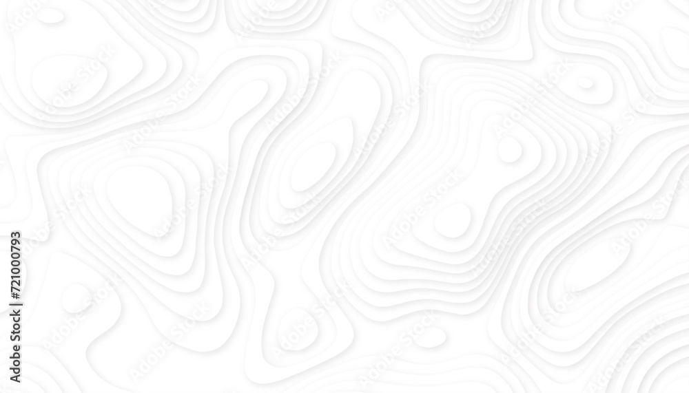 White Paper Cut Background. Abstract Contour Topographic Line Pattern in Black and White