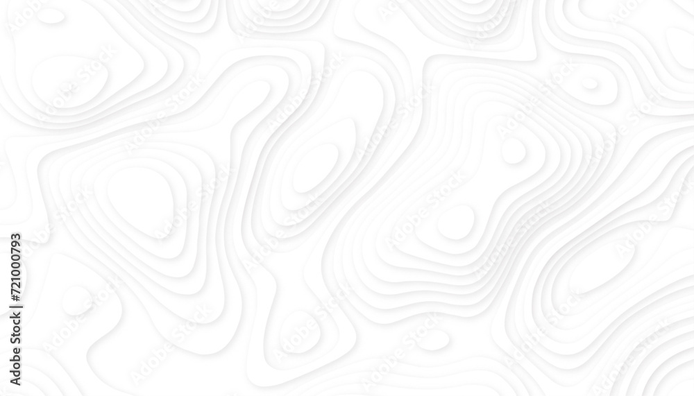 White Paper Cut Background. Abstract Contour Topographic Line Pattern in Black and White White Paper Cut Background. Abstract Contour Topographic Line Pattern in Black and White