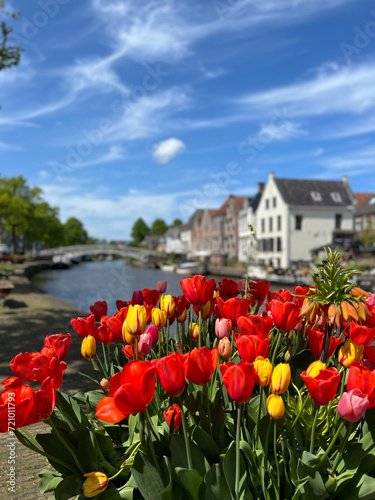 Tulips at the canal in Dokkum
