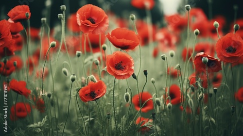 Beautiful red poppies on a meadow. Nature background Generative AI
