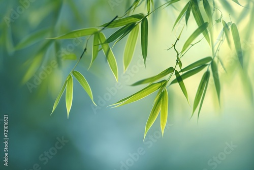 Elegance of Nature: Delicate Bamboo Leaves