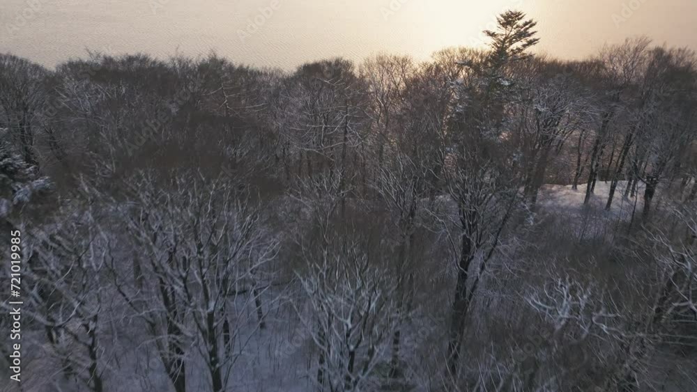 Twilight descends over a snow-dusted forest, with bare trees casting shadows and lake in background in Europe. Twilight descends over a snow-dusted forest, with bare trees casting shadows and lake in background in Europe.