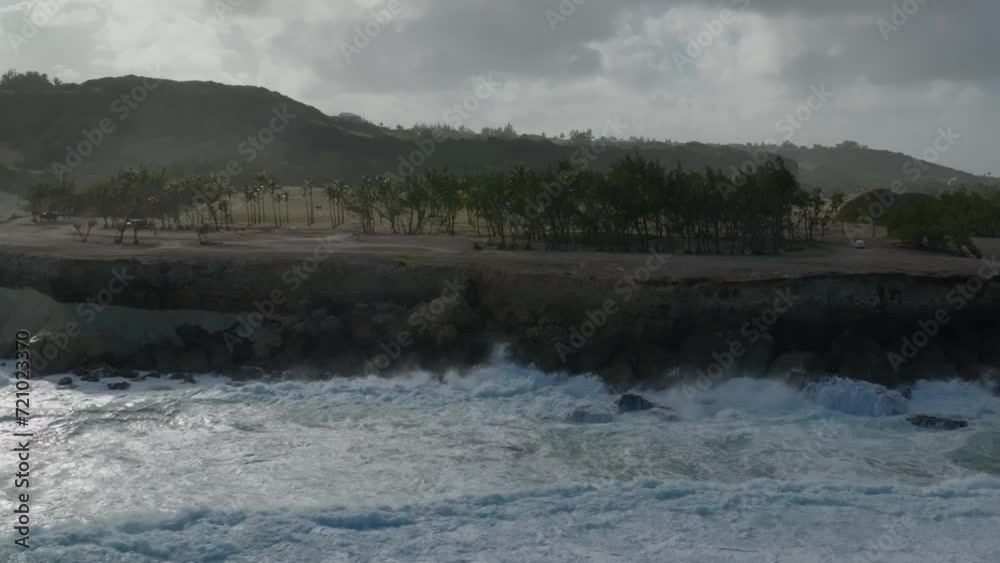 Drone dolly above ocean waves crashing on rocky shoreline with coconut trees on cliff edge Drone dolly above ocean waves crashing on rocky shoreline with coconut trees on cliff edge