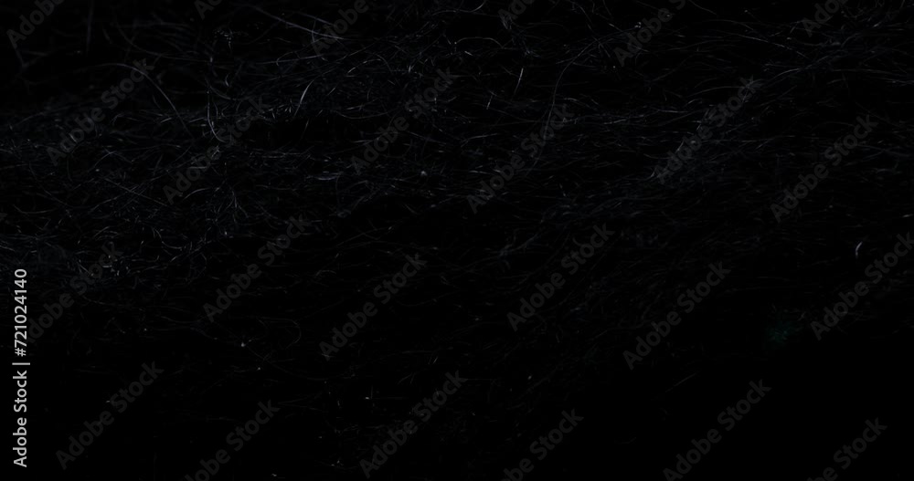A few bursts of blue glowing electrical Energy quickly run across a dark moody web scape A few bursts of blue glowing electrical Energy quickly run across a dark moody web scape