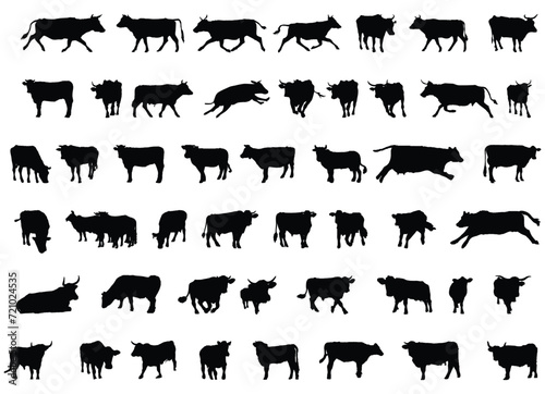 Cow Silhouette Vector Set on White Background