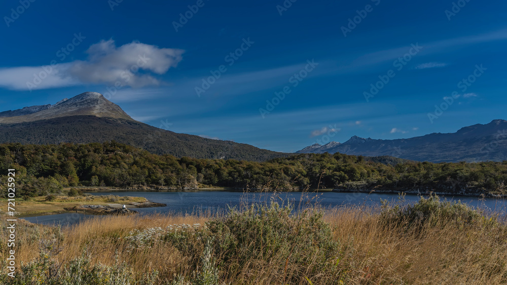 The beautiful landscape of Patagonia. Lush yellowed grass, green forest grow on the shores of a blue lake. A picturesque mountain against a azure sky and clouds. Tierra del Fuego National Park.