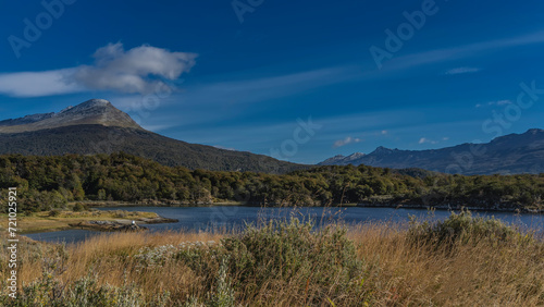 The beautiful landscape of Patagonia. Lush yellowed grass, green forest grow on the shores of a blue lake. A picturesque mountain against a azure sky and clouds. Tierra del Fuego National Park.