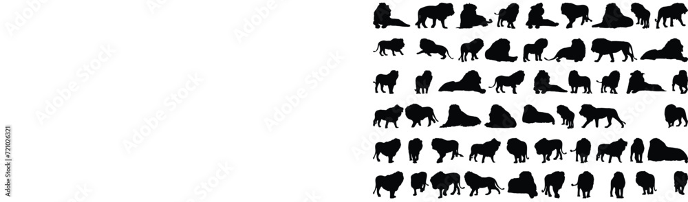 Set of lion silhouette vector illustration on white background