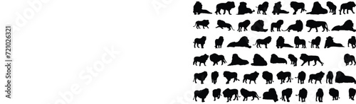 Set of lion silhouette vector illustration on white background