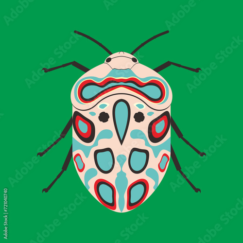 picasso bug