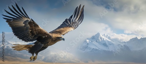 An Eagle Flying Freely in the Vast Sky photo