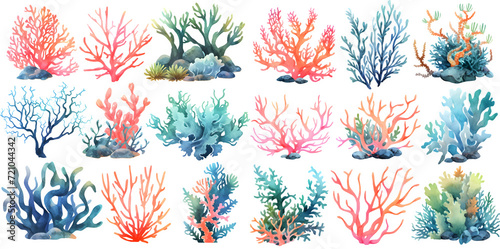 Fototapeta Naklejka Na Ścianę i Meble -  Watercolor coral reef clipart for graphic resources