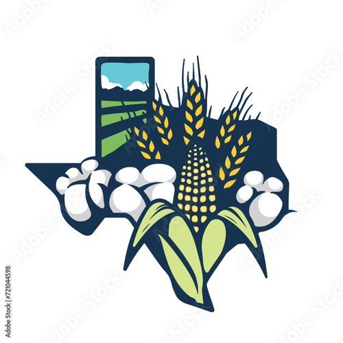 Texas farm produces state map illustration. Field of cotton, wheat and corn hand drawing.