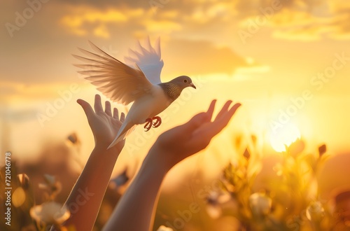 Dove soaring in peaceful golden sky
