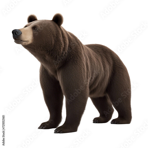 A large dark brown bear cartoon on a white backdrop created by AI.