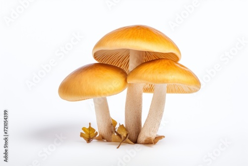 Fresh Mushrooms on White Background AI Generated
