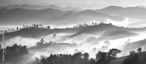 Black and WhiteGreen: Captivating Hillfog adorning the Morning Sunshine Landscape