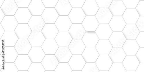 Seamless pattern with hexagonal white and gray technology line paper background. Hexagonal vector grid tile and mosaic structure mess cell. white and gray hexagon honeycomb geometric copy space. © MdLothfor