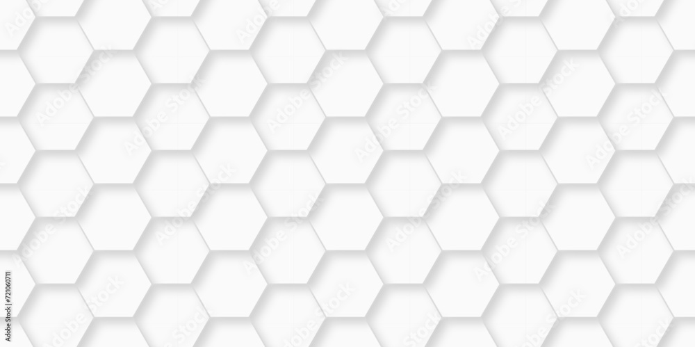 Background with white and black lines 3d Hexagonal structure futuristic white texture and Embossed Hexagon , honeycomb white Background ,light and shadow ,Vector technology cell web tile backdrop. Background with white and black lines 3d Hexagonal structure futuristic white texture and Embossed Hexagon , honeycomb white Background ,light and shadow ,Vector technology cell web tile backdrop.